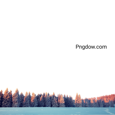 High Quality Winter PNG Image with Transparent Background for Versatile Use