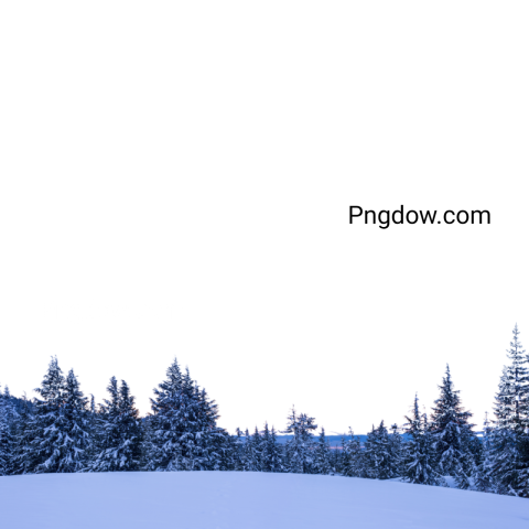 Download Stunning Winter PNG Image with Transparent Background