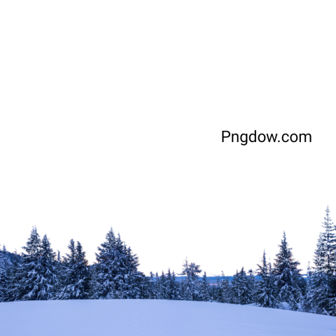 Download Stunning Winter PNG Image with Transparent Background - Photo ...