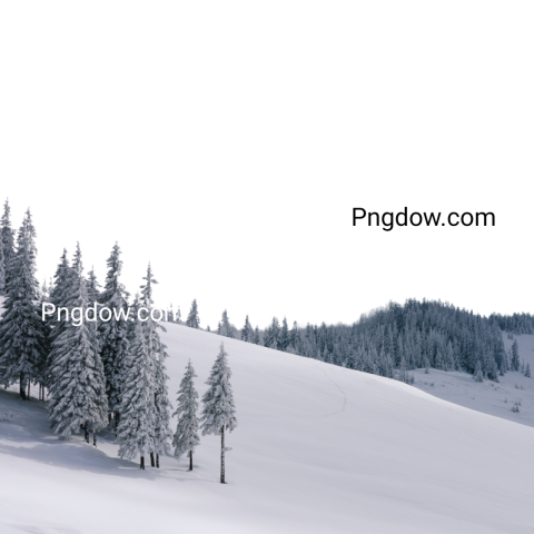 Download Winter PNG Image with Transparent Background   High Quality and Free