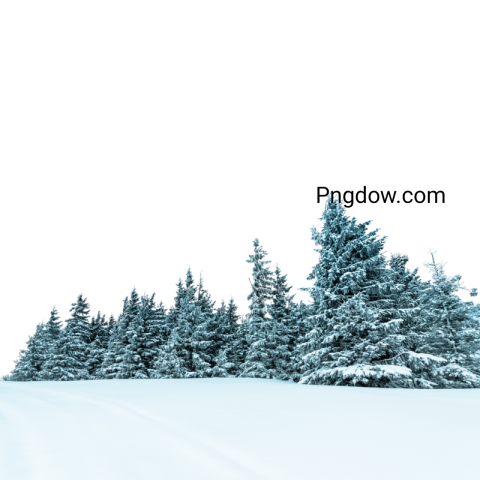 Stunning Winter PNG Image with Transparent Background   Download Now