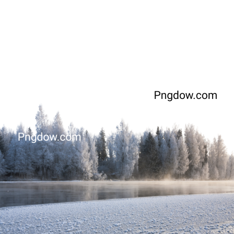 Exclusive Winter PNG Image with Transparent Background   Download Now!