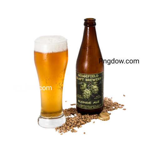 Beer PNG image image with transparent background, beer PNG