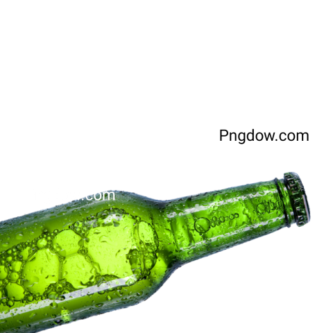 Beer illustration PNG transparent background