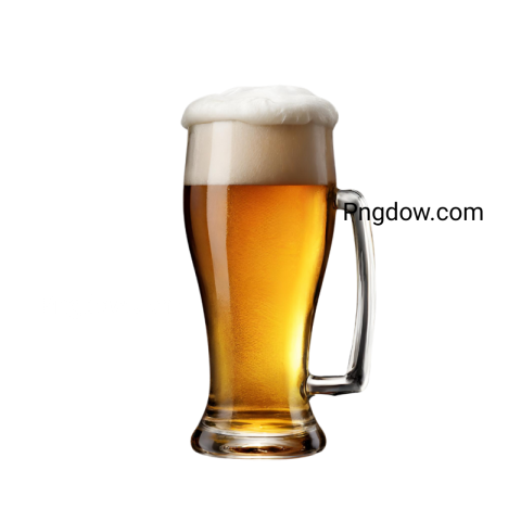 Where can I find high quality Beer illustrations in PNG format