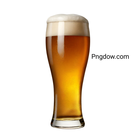 Stunning Beer PNG Image with Transparent Background   Free Download