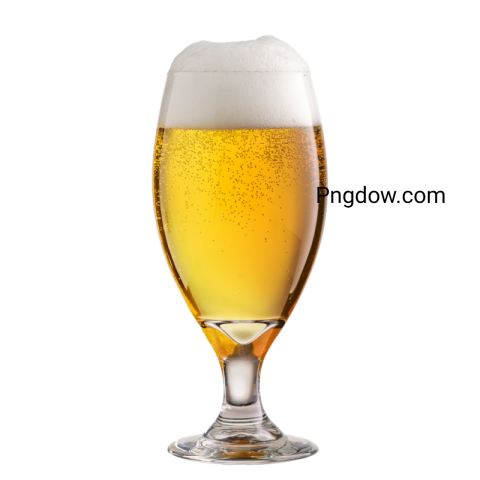Beer PNG image image with transparent background