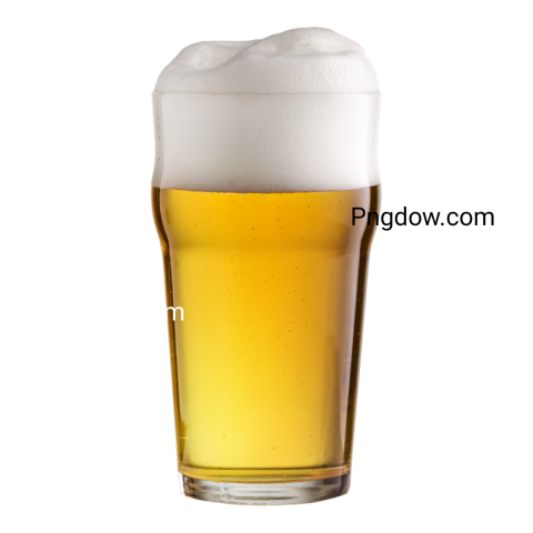 Beer PNG image image with transparent background, beer