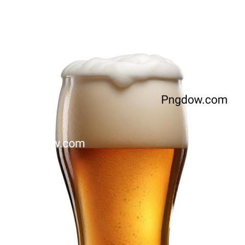 Stunning Beer PNG Image with Transparent Background   Download Now