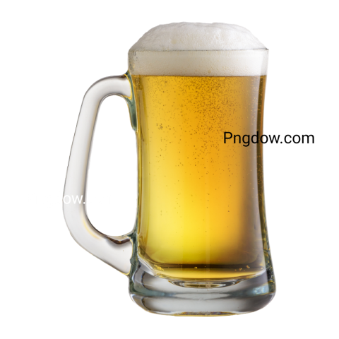 Where can I find free beer illustrations in PNG format for free