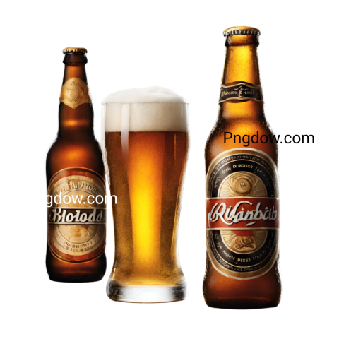 Download Beer PNG Image with Transparent Background   High Quality Beer PNG