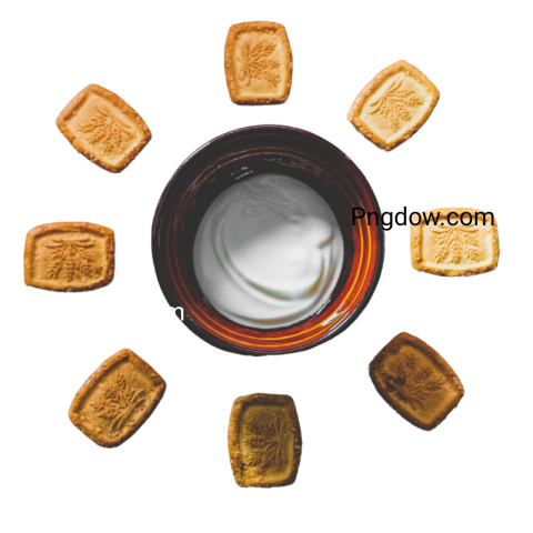 High Quality Biscuit PNG Image with Transparent Background for Versatile Use