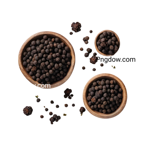 What are the common uses of Black pepper illustrations in graphic design