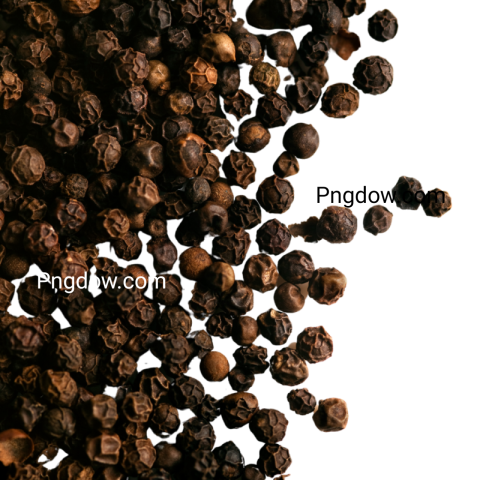 Where can I find high quality Black pepper illustrations in PNG format