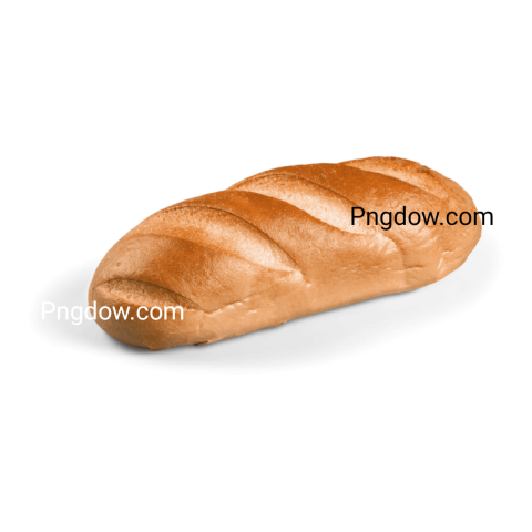 How can I use Bread illustrations in my design projects