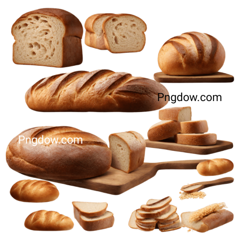 High Quality Bread PNG Image with Transparent Background