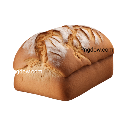 High Quality Bread PNG Image with Transparent Background   Download Now