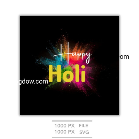 black And White Gradient Holi Festival Special Greeting Instagram Post template