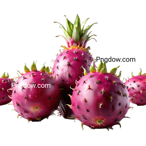 High Quality Pitaya PNG Images with Transparent Background   Download Now