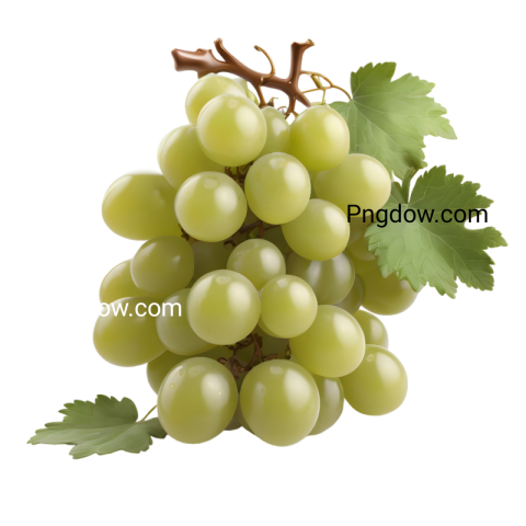 High Quality Green Grape PNG Images with Transparent Background