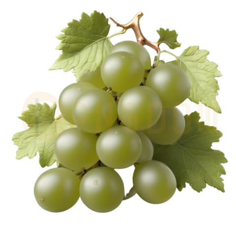 Vibrant Green Grape PNG Image with Transparent Background