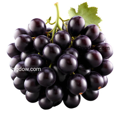 Premium black Grape PNG Images for Your Creative Projects