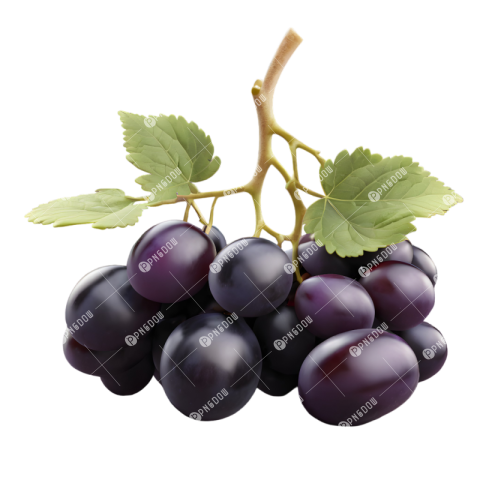 High Quality black Grape PNG Images for Your Projects - Photo #18347 ...