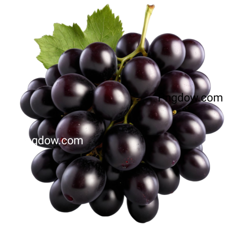 High Quality black Grape PNG Image for Your Projects