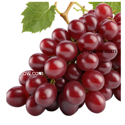 High Quality Transparent red Grape PNG for Your Design Needs