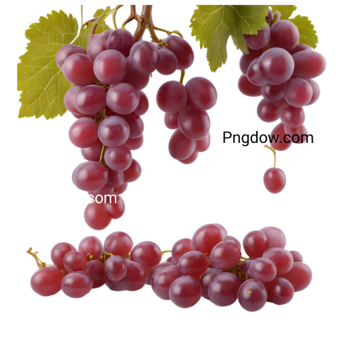 High Quality Transparent PNG Image of red Grapes for Your Design