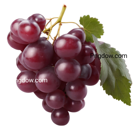 High Quality Transparent red Grape PNG for Your Design Need