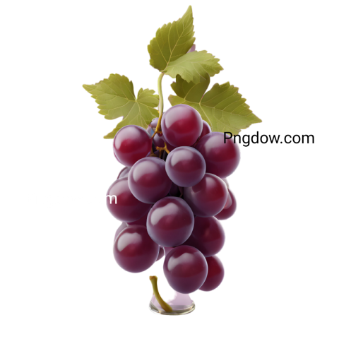 High Quality red Grape PNG Images for Your Projects