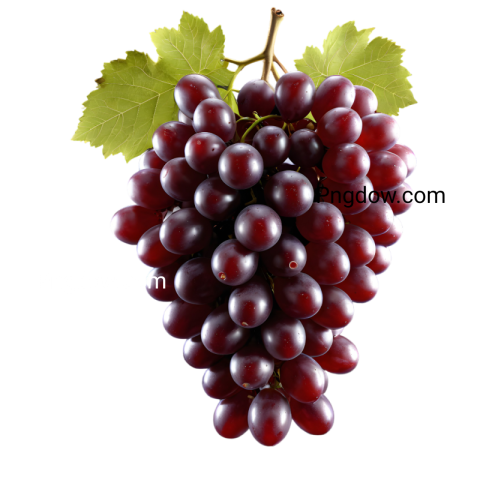 High Quality red Grape PNG Images for Your Design Projects