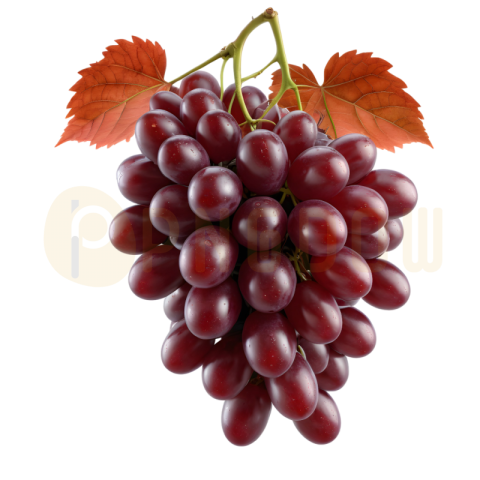Premium red Grape PNG Images for Your Creative Projects