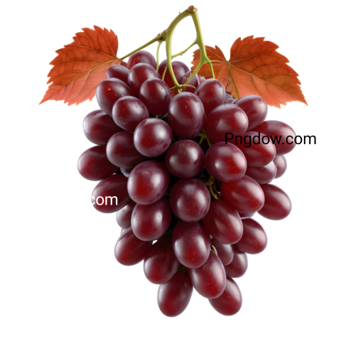 Premium red Grape PNG Images for Your Creative Projects