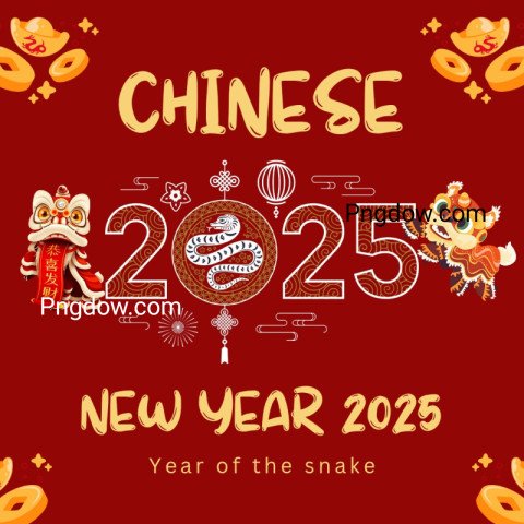 chinese new year 2025, vector SVG Instagram Post