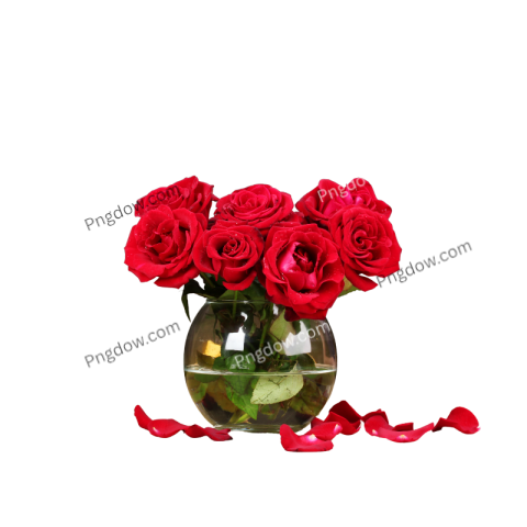 Rose PNG download