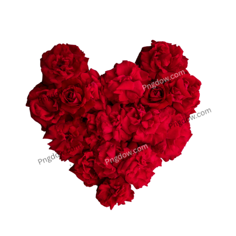 Rose heart PNG