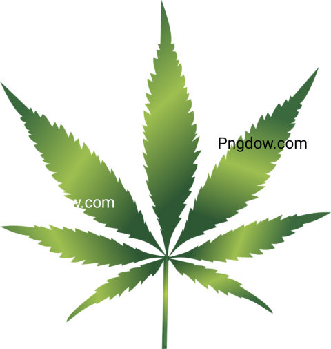 Discover a Collection of High Quality Cannabis PNG Images for Free Download
