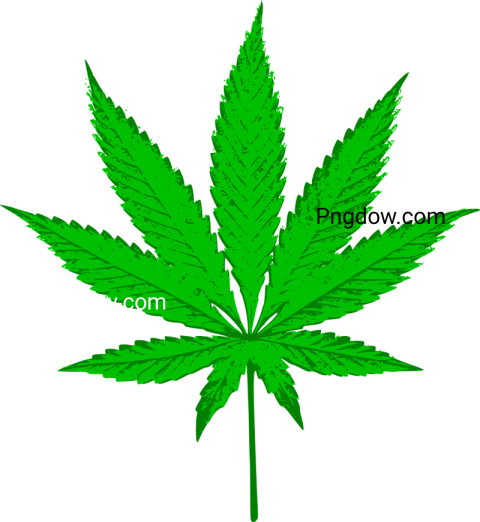 Download Free Cannabis PNG Images for High Quality Graphics