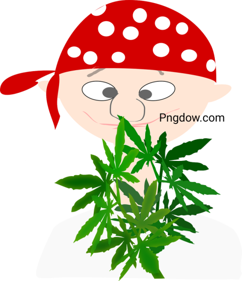 Free Download High Quality Cannabis PNG Images for Your Creative Projects