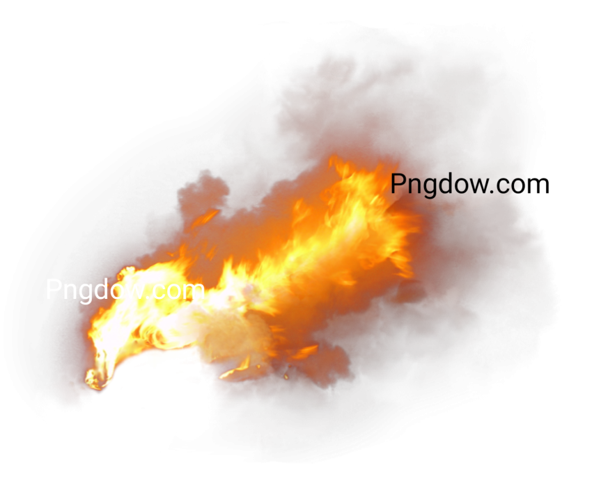 Fire plant PNG