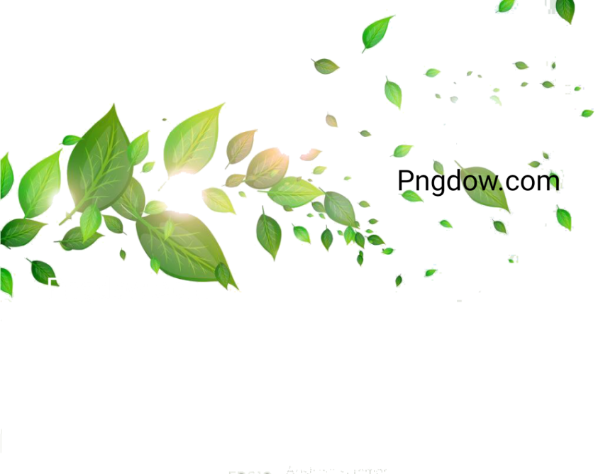 Download Free Transparent Green Leaf PNG Image for Your   Designs