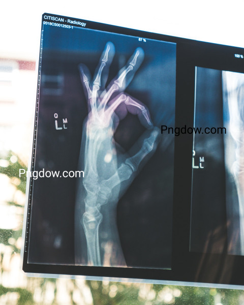 Health  Medical images for Free Download, (41)