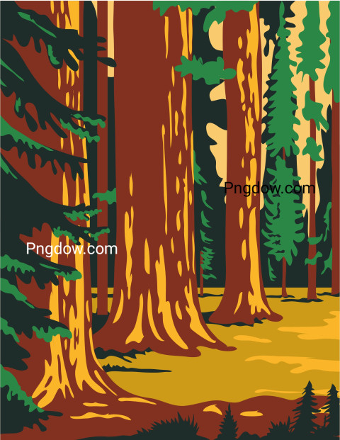 Sequoia and Kings Canyon National Park ,vector image For Free