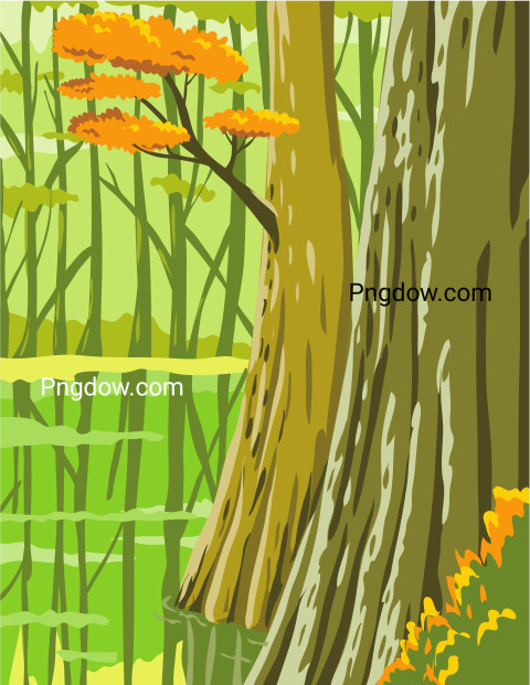 Congaree National Park ,vector image For Free