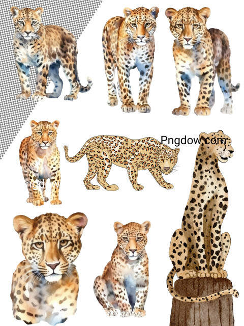 Vibrant Leopard Watercolor Vector: Add a Touch of Exotic Elegance to Your Designs
