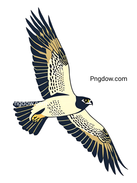Flying cartoon falcon bird, perfect for designs