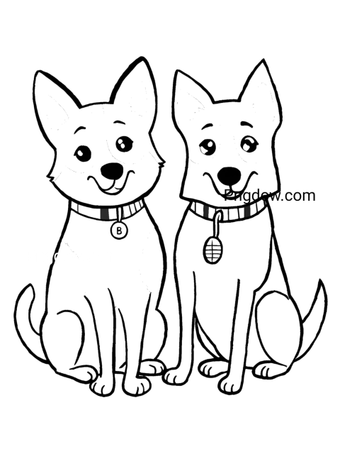 Two dogs, Bluey and Bingo, sitting together on a transparent background