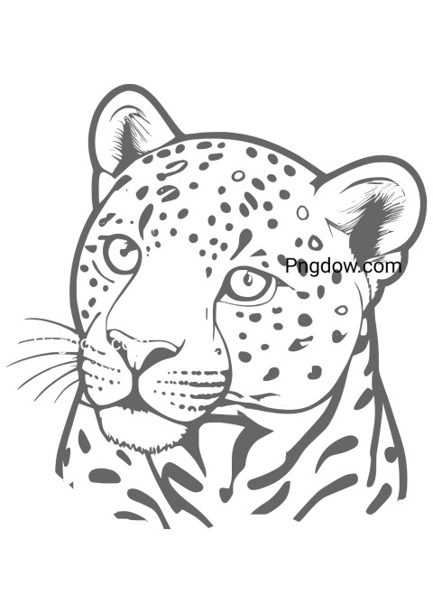 Printable Jaguar Coloring Page for free